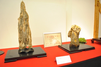 suiseki kiallitas az erdi varosi galeriaban a bonsai es suiseki mustran